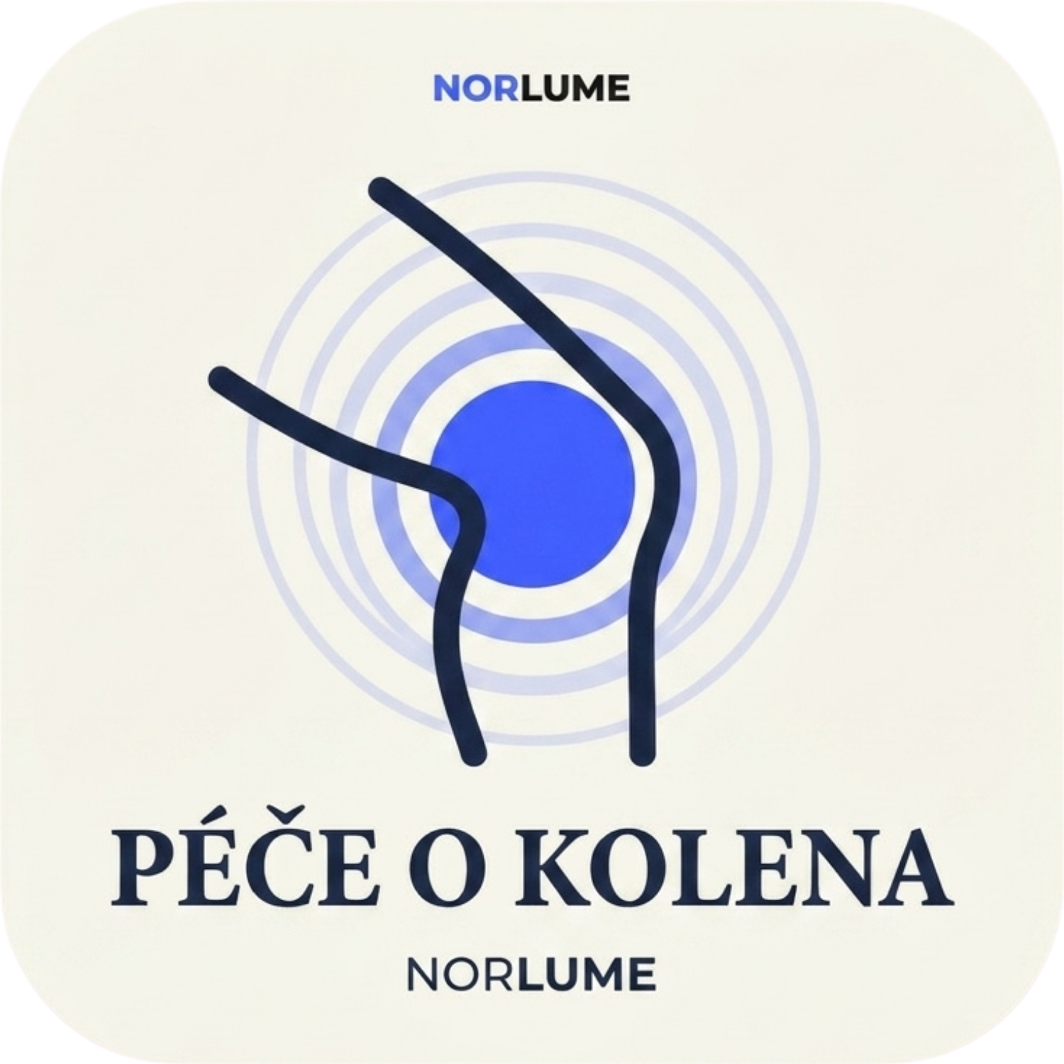 E-kniha: Cvičení a péče o bolavá kolena